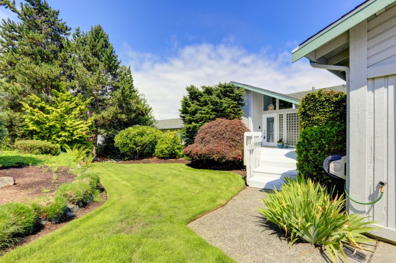 Custom Design Options