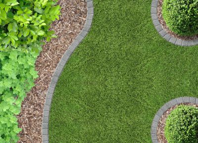 Sculpted Garden Perfection